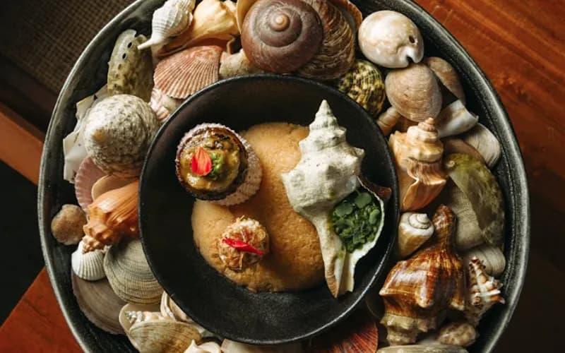 Three seafood bites presented in shells on a shell-lined platter.
